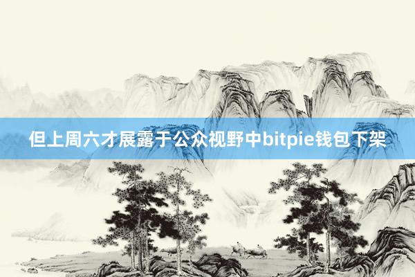 但上周六才展露于公众视野中bitpie钱包下架