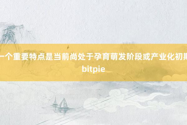 一个重要特点是当前尚处于孕育萌发阶段或产业化初期bitpie