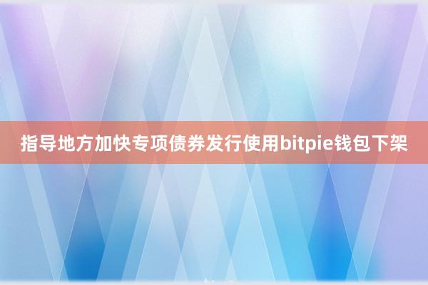 指导地方加快专项债券发行使用bitpie钱包下架