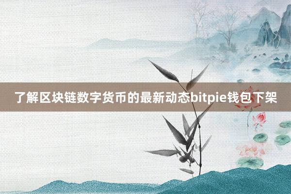 了解区块链数字货币的最新动态bitpie钱包下架