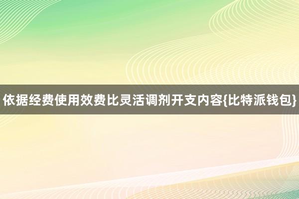 依据经费使用效费比灵活调剂开支内容{比特派钱包}