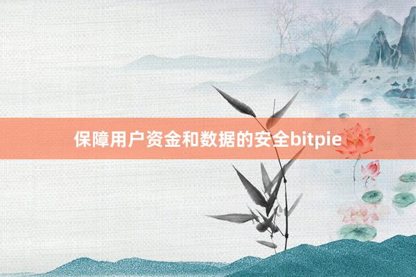 保障用户资金和数据的安全bitpie