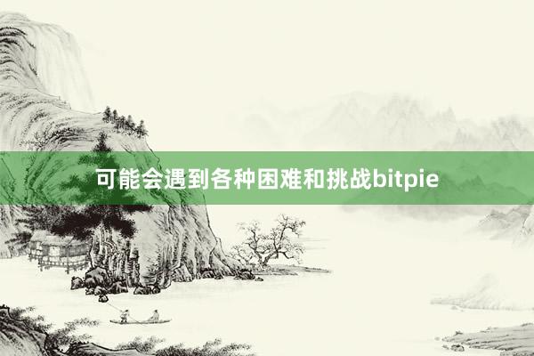 可能会遇到各种困难和挑战bitpie