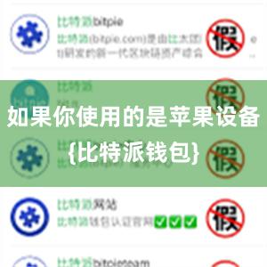 如果你使用的是苹果设备{比特派钱包}