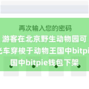 游客在北京野生动物园可乘坐观光车穿梭于动物王国中bitpie钱包下架