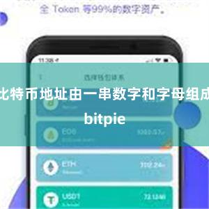 比特币地址由一串数字和字母组成bitpie